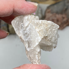 Chargez l'image dans la visionneuse de la galerie, Selenite Rough Set #27