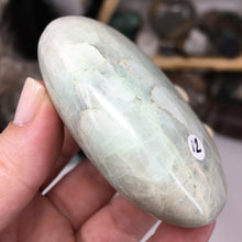 将图像加载到图库查看器中,Garnierite Palm Stone #12