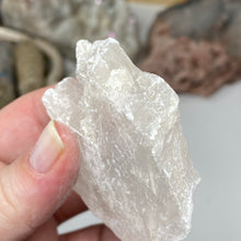 Chargez l'image dans la visionneuse de la galerie, Selenite Rough Set #27