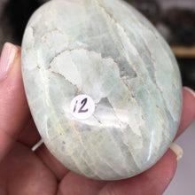 将图像加载到图库查看器中,Garnierite Palm Stone #12