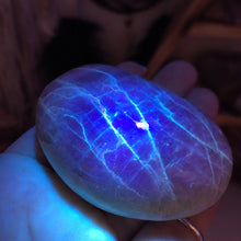 将图像加载到图库查看器中,Garnierite Palm Stone #12