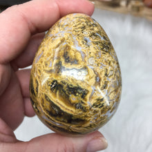 Bild in Galerie-Viewer laden, Ocean Jasper Egg #02