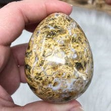 Bild in Galerie-Viewer laden, Ocean Jasper Egg #02
