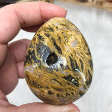 Bild in Galerie-Viewer laden, Ocean Jasper Egg #02