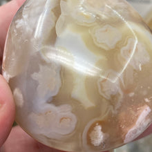 将图像加载到图库查看器中,Flower Agate Palm Stone #36