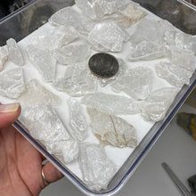 Chargez l'image dans la visionneuse de la galerie, Selenite Rough Set #36
