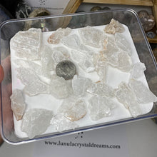 Chargez l'image dans la visionneuse de la galerie, Selenite Rough Set #37