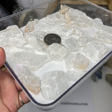 Chargez l'image dans la visionneuse de la galerie, Selenite Rough Set #37