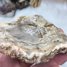 Cargar imagen en el visor de la galería, Petrified Wood Polished Slab #02