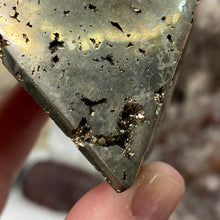 将图像加载到图库查看器中,<transcy>黄铁矿中号 2" 头骨</transcy>