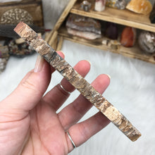 Carica l'immagine nel visualizzatore di Gallery, Petrified Wood Polished Slab #04