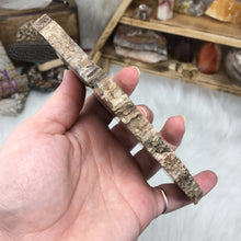 Carica l'immagine nel visualizzatore di Gallery, Petrified Wood Polished Slab #04