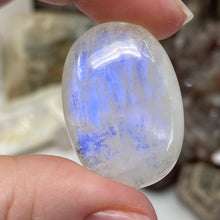 Load image into Gallery viewer, Rainbow Moonstone Cabochon #12 AAA Grade