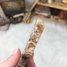 Carica l'immagine nel visualizzatore di Gallery, Petrified Wood Polished Slab #04