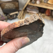 Carica l'immagine nel visualizzatore di Gallery, Petrified Wood Polished Slab #04