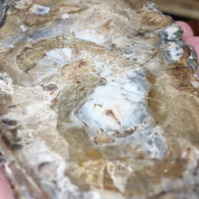 Carica l'immagine nel visualizzatore di Gallery, Petrified Wood Polished Slab #04