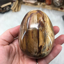 Bild in Galerie-Viewer laden, Petrified Wood Extra Large Egg #01