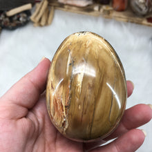 Bild in Galerie-Viewer laden, Petrified Wood Extra Large Egg #01