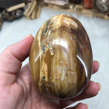 Bild in Galerie-Viewer laden, Petrified Wood Extra Large Egg #01