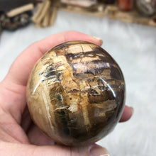 Bild in Galerie-Viewer laden, Petrified Wood Extra Large Egg #01