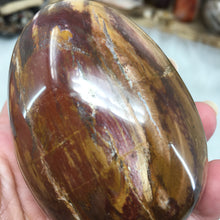Bild in Galerie-Viewer laden, Petrified Wood Extra Large Egg #01