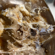 Load image into Gallery viewer, Brown Opal Freeform