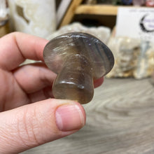 将图像加载到图库查看器中,Fluorite Mushroom #01