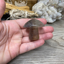 将图像加载到图库查看器中,Fluorite Mushroom #01