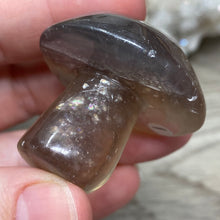 将图像加载到图库查看器中,Fluorite Mushroom #01