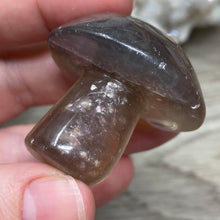 将图像加载到图库查看器中,Fluorite Mushroom #01