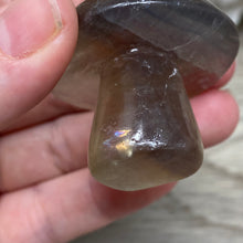 将图像加载到图库查看器中,Fluorite Mushroom #01