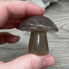 将图像加载到图库查看器中,Fluorite Mushroom #01