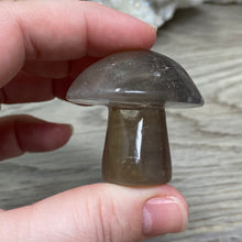 将图像加载到图库查看器中,Fluorite Mushroom #01