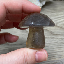 将图像加载到图库查看器中,Fluorite Mushroom #01