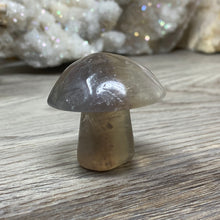 将图像加载到图库查看器中,Fluorite Mushroom #01
