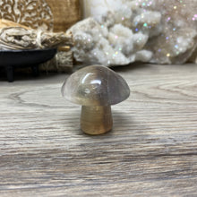 将图像加载到图库查看器中,Fluorite Mushroom #01