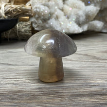 将图像加载到图库查看器中,Fluorite Mushroom #01