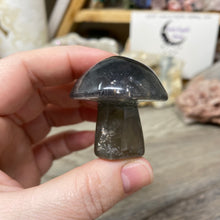 将图像加载到图库查看器中,Fluorite Mushroom #02