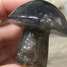 将图像加载到图库查看器中,Fluorite Mushroom #02