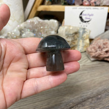 将图像加载到图库查看器中,Fluorite Mushroom #02