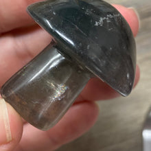 将图像加载到图库查看器中,Fluorite Mushroom #02