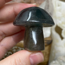 将图像加载到图库查看器中,Fluorite Mushroom #02