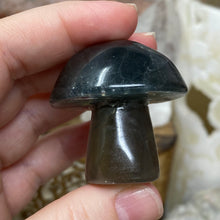 将图像加载到图库查看器中,Fluorite Mushroom #02