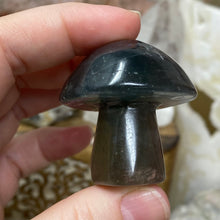将图像加载到图库查看器中,Fluorite Mushroom #02