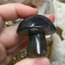 将图像加载到图库查看器中,Fluorite Mushroom #02