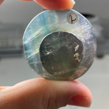 将图像加载到图库查看器中,Fluorite Mushroom #02