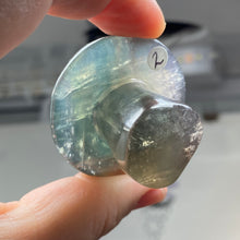 将图像加载到图库查看器中,Fluorite Mushroom #02