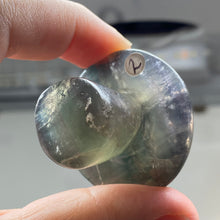 将图像加载到图库查看器中,Fluorite Mushroom #02