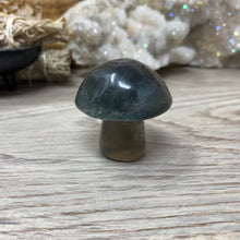 将图像加载到图库查看器中,Fluorite Mushroom #02
