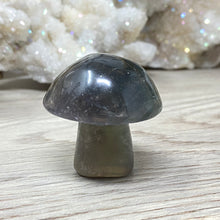 将图像加载到图库查看器中,Fluorite Mushroom #02